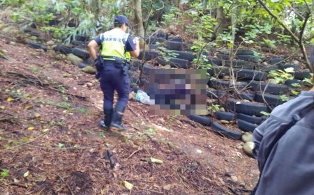 火炎山採筍失聯！苗栗男失聯3天找到了　家屬見冰冷遺體潰堤