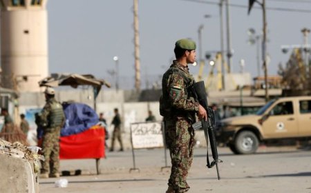 特朗普与夺回巴格拉姆：喀布尔的担忧与华盛顿的忽视