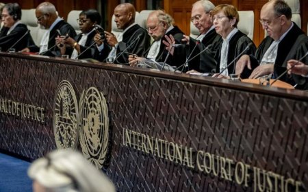 巴西加入南非在国际法院对以色列提起的诉讼