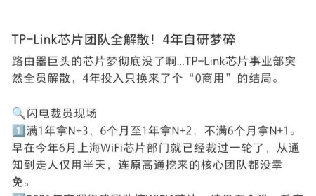 网传 TP-LINK 普联技术芯片部门全员解散，知情人士称“并非公司本身，相关主体应为早前关联公司”