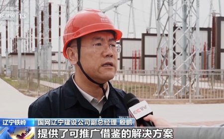 全国首座 500 千伏全自主可控变电站“西泉变电站”在辽宁投运，采用自主芯片首次实现全链条国产化