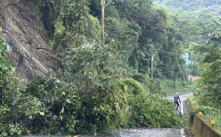 苗124線33.5K處路樹倒塌！佔據2車道　南庄警緊急排除