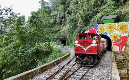 「樺加沙」逼近！阿里山林鐵9/22部分班次停駛　9/23-24全線停駛