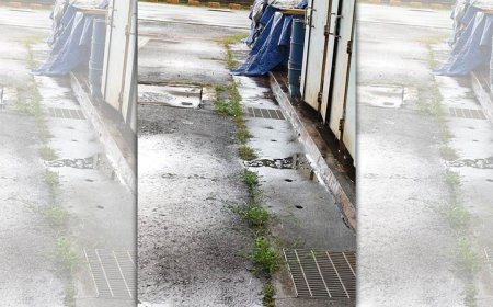 工程師遭主管「逼拔雜草」　悲慘下場曝