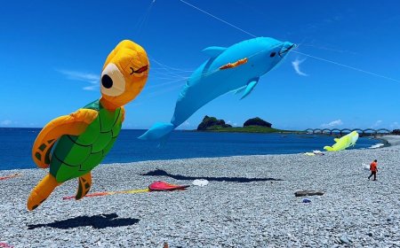 「30隻海洋生物風箏」9/28快閃台東　DIY全免費還能試吃生魚片