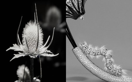 薊草「縫」滿鑽石、白金毛毛蟲很「毛」　BOUCHERON高級珠寶手法超狂