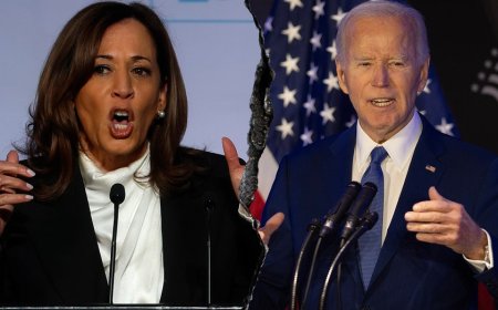 Kamala Harris breaks silence on Biden dropout, admits she has regrets about her handling of situation