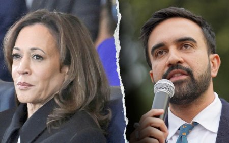 Harris offers timid endorsement of Mamdani, quickly pivots to other 'star' Democrats