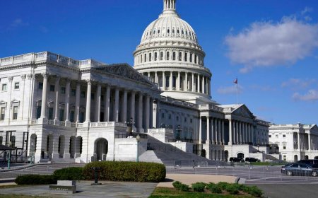 Tit for tat: House censures are becoming 'snap' solutions