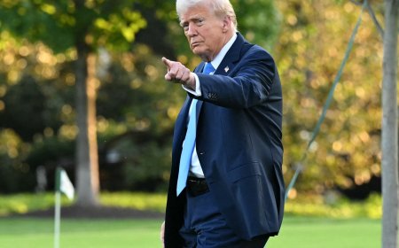 特朗普将向阿拉伯和伊斯兰国家领导人提出结束以色列对加沙战争的计划