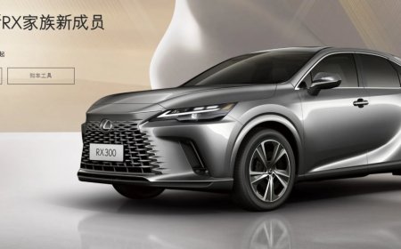 「LEXUS新RX休旅」大陸很有料！全新黑化特仕車亮相　折合新台幣170萬
