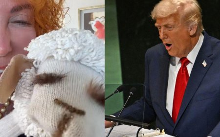 Lamb Chop Puppet Savagely Roasts Donald Trump For Viral Acetaminophen Mishap