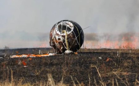 75 只老鼠、1500 只苍蝇太空游 30 天，俄罗斯“诺亚方舟”返回地球