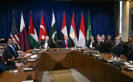 埃尔多安称特朗普与阿拉伯和穆斯林领导人就加沙问题举行的会议“富有成效”