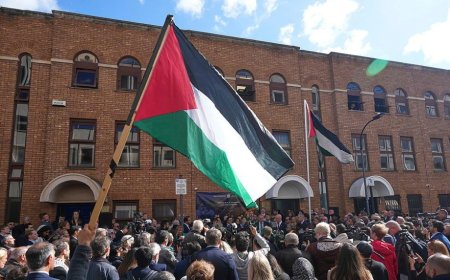 西方多国承认巴勒斯坦国，能否推动“两国方案”落地？