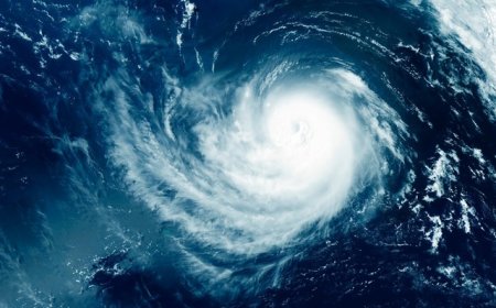 台风“桦加沙”今日在广东沿海地区登陆，应急管理部：持续加强会商研判和统筹调度