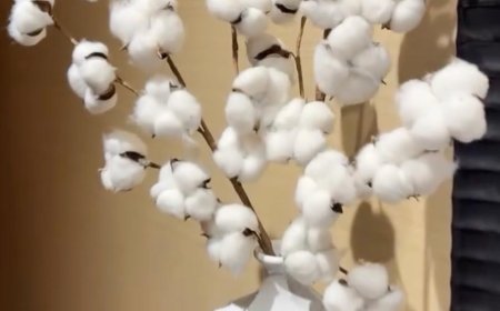 Serena Williams Calls Out Hotel Over Cotton Decorations: ‘Feels Unnatural’
