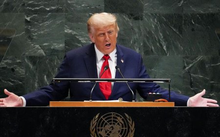 Waltz calls UN mishaps during Trump speech ‘unacceptable,’ vows funding freeze until reforms