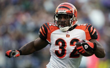 Chad 'Ochocinco' Johnson heartbroken after missing chance to wish former teammate Rudi Johnson final farewell