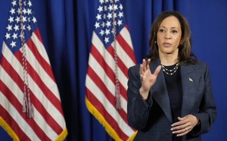 Harris resurrects campaign word salad when concerned pregnant mom asks about raising a son under Trump