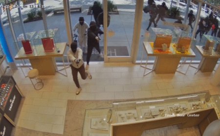 Brazen blue state jewelry store heist caught on camera as armed mob makes off with $1M in merchandise: police