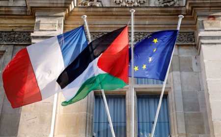 承认巴勒斯坦的七个最主要经济体：它们与以色列的贸易额是多少？