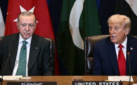 在埃尔多安访问白宫前夕出现的煽动活动