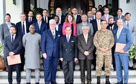 “战略握手”：巴基斯坦如何利用关键矿产来吸引特朗普