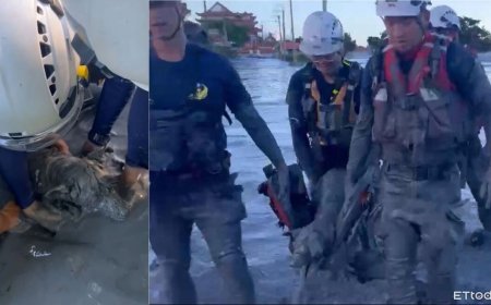 泥濘中「露出一顆頭」！狗困黑泥險滅頂…隊員手挖40分鐘救出