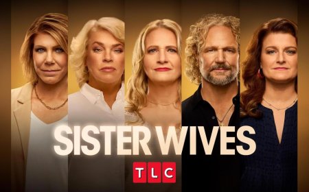 Where Do Sister Wives’ Meri, Janelle, Christine, Robyn Stand With Each Other?