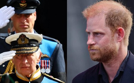 Prince William Enjoys Quality Time With Dad Amid Prince Harry's Reunion Struggles