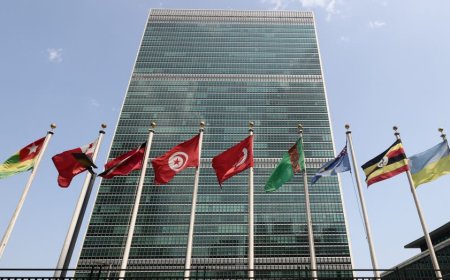 Trump administration official physically assaulted at UNGA by 'deranged leftist,' White House says