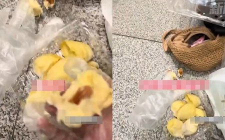 上不了飛機！陸客「10分鐘吃7斤榴蓮」：放屁都是榴蓮味