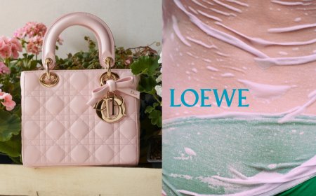 Dior「蝴蝶結黛妃包」實在太可愛　LOEWE用小褲褲吐露西班牙性感