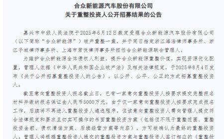 哪吒汽车重整仅一家意向投资人按要求完成报名工作