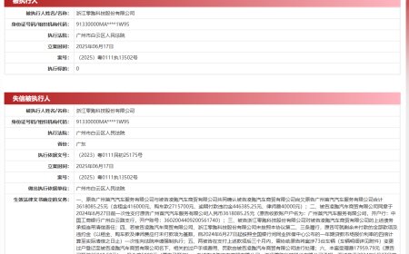 零跑汽车关联公司拖欠 361 万元成失信被执行人，创始人朱江明被限消