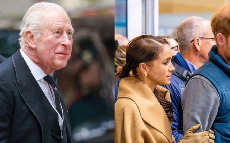 Prince Harry's Gift To King Charles During Reunion Hints At Where Monarch Stands With Meghan Markle