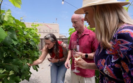 Texas winery beats Napa elites with small-town savvy and top-notch taste