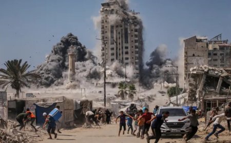 加沙战争近半数死亡报告发生在以色列称之为“安全”的地区