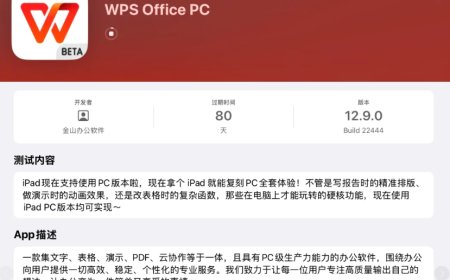 苹果 iPad 开启 WPS PC 版（12.9.0）测试，网友称功能非常齐全、运作很流畅