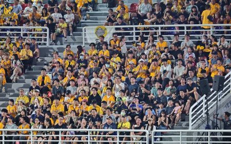 樂天主場大螢幕驚見兄弟球迷！　平野惠一直呼「很感動」