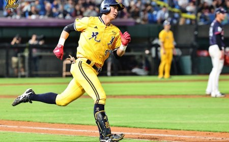 桃猿再嚐剋星威力！羅戈7局無失分好投　盛讚陳統恩細節改變比賽