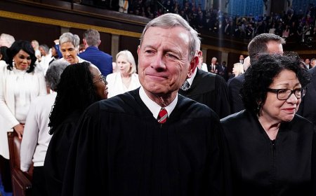 Supreme Court showdown: Trump's strategy to test limits of his power could spell doom for administrative state