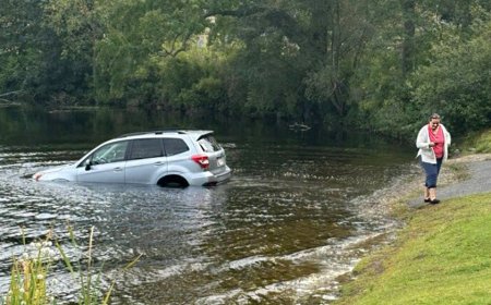 Woman's car sinks in lake as she protests ICE arrests in Massachusetts