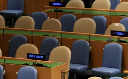 加沙和巴勒斯坦是联合国的主导议题 这会带来改变吗？