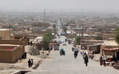 四年来，阿富汗塔利班如何掌权治国？