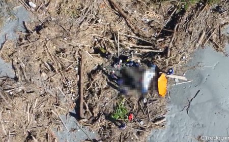 快訊／加里洞遺體身分確認！為失聯者64歲農場員工