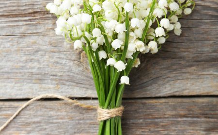 Selena Gomez's Wedding Bouquet Flowers Symbolized the 'Return of Happiness'