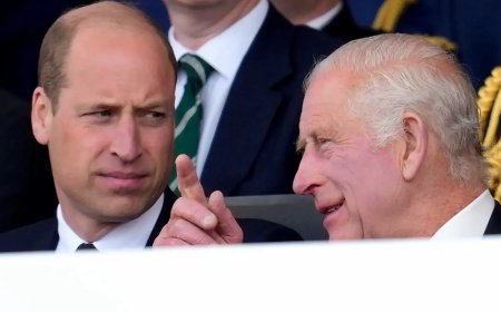 Insiders Address Rumors Of Strain Between King Charles And Prince William After Prince Harry Reunion