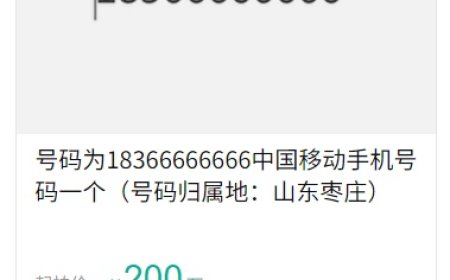 尾号 66666666 手机号 200 万元起拍：保证金 40 万，超万人围观